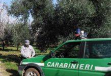 Inquinamento ambientale in Calabria- Sversavano rifiuti pericolosi, sequestrato depuratore