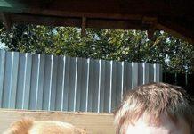 Papà malato terminale uccide figlio 13enne- “Mia moglie non avrebbe potuto crescerlo solo”