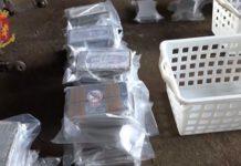 Sequestrati 537kg di cocaina- arrestato Rocco Molè di Gioia Tauro
