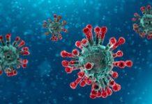Calabria- gira e diffonde falso video su coronavirus
