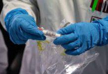 Coronavirus Calabria-positiva moglie del 67enne di Catanzaro