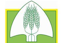 Aceto, corona virus: dalla Regione servono misure di sostegno per le imprese e per l’economia. Imprenditori letteralmente rovinati