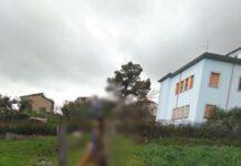 Calabria, cane impiccato ad un palo