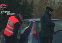 Rosarno- scoperta piantagione di marijuana- un arresto