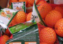 Iniziativa di solidarietà- Da Rosarno a Bergamo oltre 30 quintali di arance