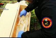 Rinvenuto materiale esplosivo e un fucile