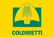 Coldiretti Calabria: incremento dei prezzi al consumo per frutta (+8%) e latte (+5%) ma i prezzi alla produzione sono negativi