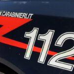 Controlli carabinieri in azienda agricola: riscontrate irregolarità ed elevate sanzioni