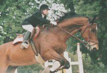 Torna in carcere Franco Cataldo, carceriere del piccolo Giuseppe Di Matteo