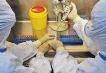 Regione Calabria: “False notizie su tamponi non processati”