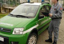 Smaltivano abusivamente reflui oleari, due denunce