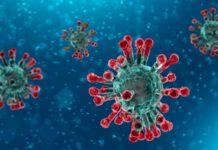 Coronavirus- Nel weekend due casi positivi in più in Calabria