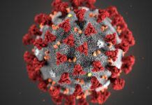 Coronavirus- In Calabria un weekend senza nuovi contagi