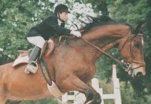 Domiciliari per Cataldo Franco, il carceriere di Giuseppe Di Matteo, il bimbo sciolto nell’acido