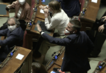 Il Pensiero del Giorno. Rissa alla camera: La politica e i politicanti non dovrebbero dare l’esempio?