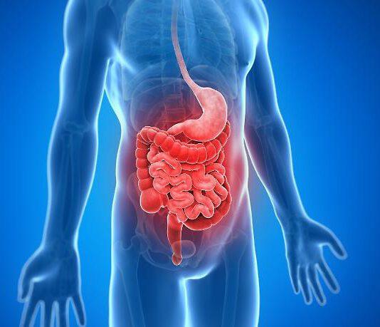 Ricerca italiana promettente per i tumori gastrointestinali