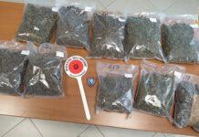 In macchina in autostrada con 5 kg di marijuana e un bimbo di 2 mesi, arrestato
