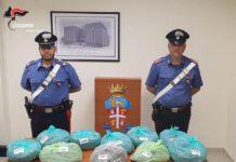 Ardore-sorpreso in auto con 10 kg di marijuana