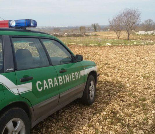 Operazione Aristeo- sequestro beni a imprenditori settore agricolo