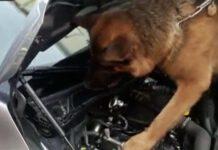 Fermato agli imbarcaderi di Villa San Giovanni con oltre 4 kg di cocaina