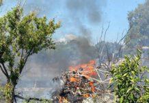 Calabria: aereo da turismo si schianta al suolo, due morti