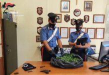 Tenta la fuga ma viene bloccato dai carabinieri. Nascondeva 14 kg di marijuana e una pistola