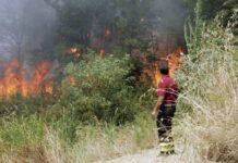 Calabria: in provincia di Cosenza oltre 40 incendi