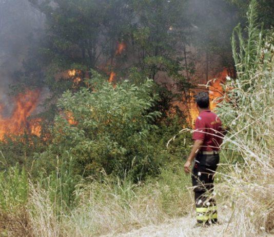 Calabria: in provincia di Cosenza oltre 40 incendi