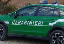 Incendiano capannone industriale dismesso- arrestati