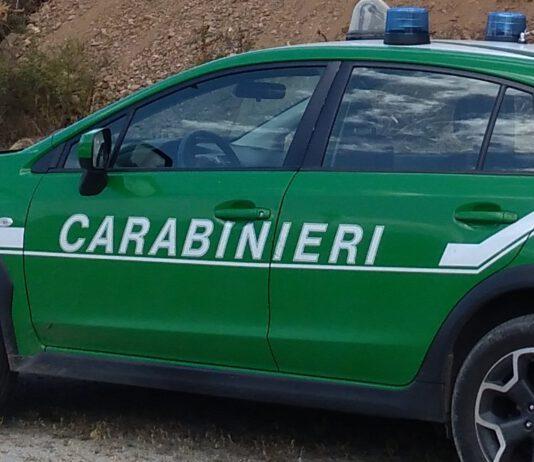 Incendiano capannone industriale dismesso- arrestati