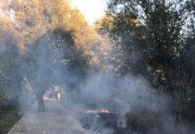 Rosarno- incendio al Parco Archeologico, la Lega chiede una corretta gestione