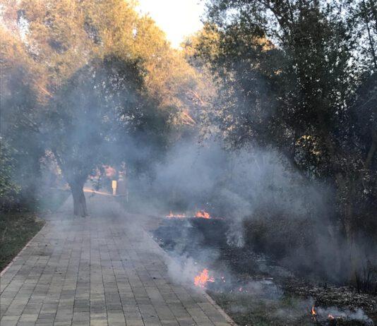 Rosarno- incendio al Parco Archeologico, la Lega chiede una corretta gestione