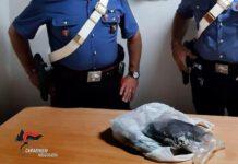 Rosarno- arrestati due 31enni