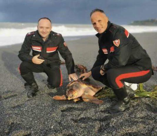 Calabria: tartaruga caretta caretta salvata da carabinieri