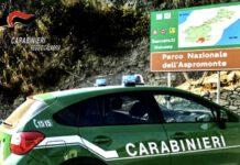 Si perdono all’interno del parco Nazionale d’Aspromonte – trovati dai carabinieri