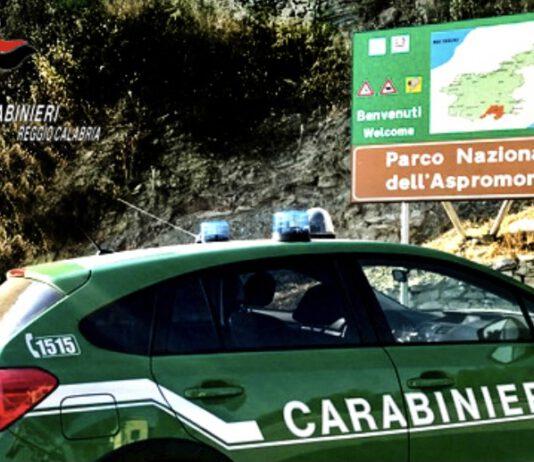 Si perdono all’interno del parco Nazionale d’Aspromonte – trovati dai carabinieri
