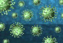 Secondo uno studio dell’Istituto dei tumori di Milano il Coronavirus era in Italia già a settembre