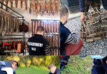 Reggio Calabria: Controlli dei Carabinieri N.A.S: sequestrati circa 600 kg. di carne per mancanza di tracciabilità, denunciato 67enne per detenzione illecita di cardellini