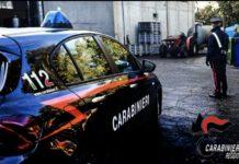 Carabinieri controlli nella Piana di Gioia Tauro: denunce, arresti e sanzioni amministrative