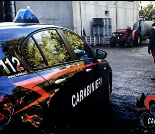 Carabinieri controlli nella Piana di Gioia Tauro: denunce, arresti e sanzioni amministrative