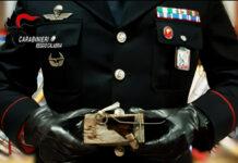 Deteneva illegalmente 72 ghiri- denunciato 63enne a Molochio