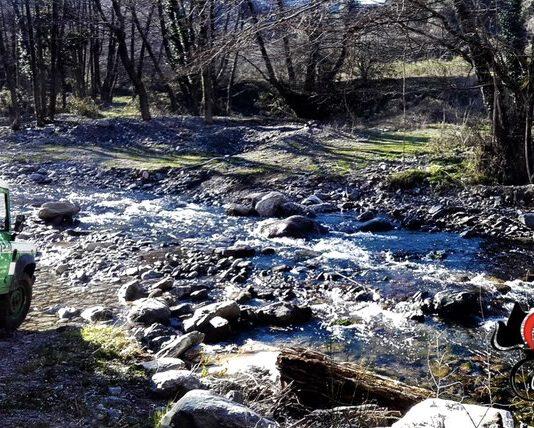 Sorpresi a tagliare legna nel Parco Nazionale d’Aspromonte- due denunce