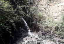 Smaltivano illecitamente rifiuti sversandoli a mare