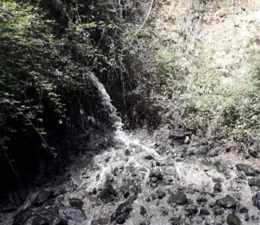 Smaltivano illecitamente rifiuti sversandoli a mare