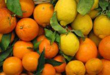 Molinaro: La Germania ha bloccato gli agrumi spagnoli per eccesso di residui chimici. Alzare il livello dei controlli per tutelare il diritto alla salute