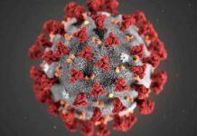 COVID- In Calabria oggi 540 positivi