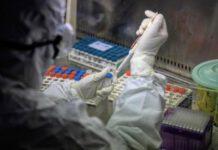 COVID: in Calabria 11 casi di variante inglese