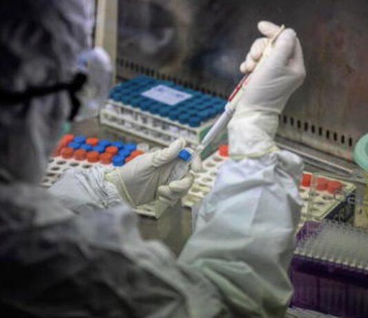 COVID: in Calabria 11 casi di variante inglese