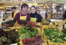 Coldiretti Calabria: Clima Pazzo, primavera e primizie in anticipo. Una malaugurata gelata può far perdere il raccolto e il lavoro di un anno