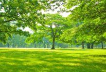 Associazione Valentia: A breve la creazione su scala nazionale di 50 “aree verdi del ricordo” – dei luoghi per ricordare tutte le vittime del Covid-19